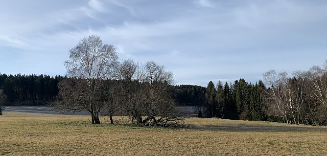 wetter (Foto: oas) wetter (Foto: oas)