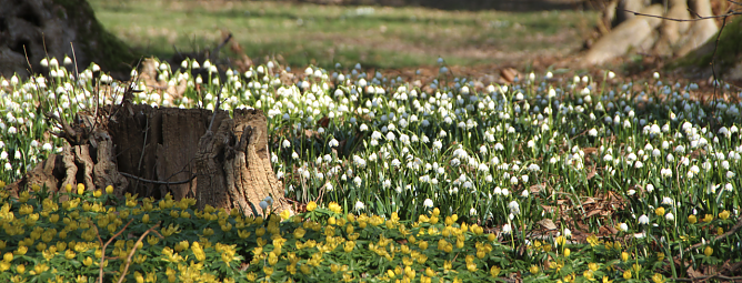 Wetterbild (Foto: Angelo Glashagel)