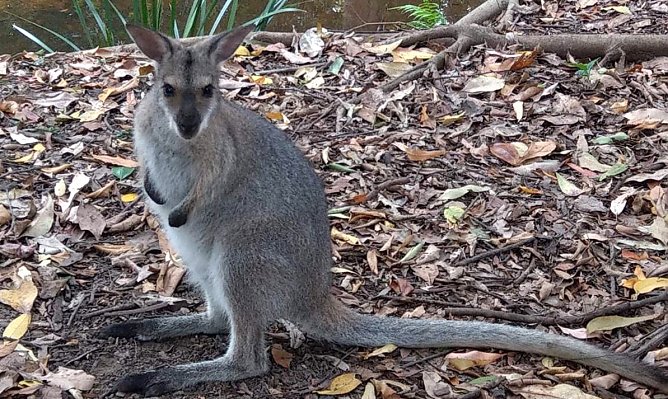 Benefizkonzert (Foto: M.Hart) Benefizkonzert (Foto: M.Hart)