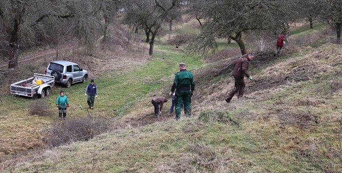 Arbeitseinsatz (Foto: Vanessa Haufschild )