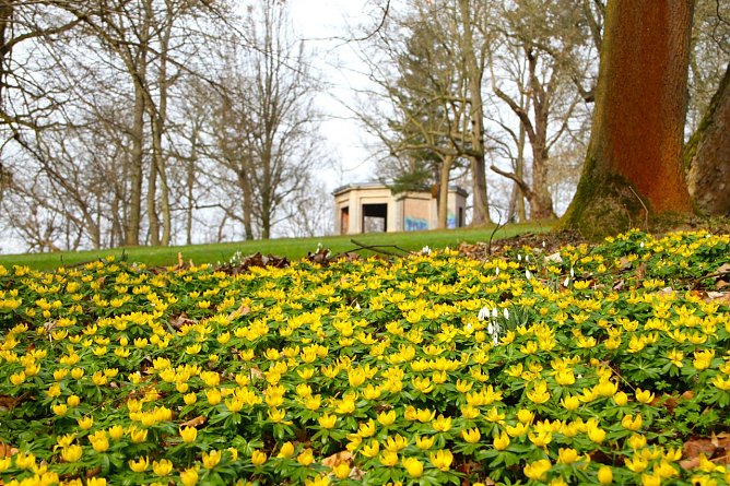 Wetterbild (Foto: Angelo Glashagel)