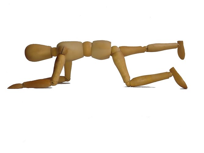 hamstring (Foto: W.H&uuml;tcher)