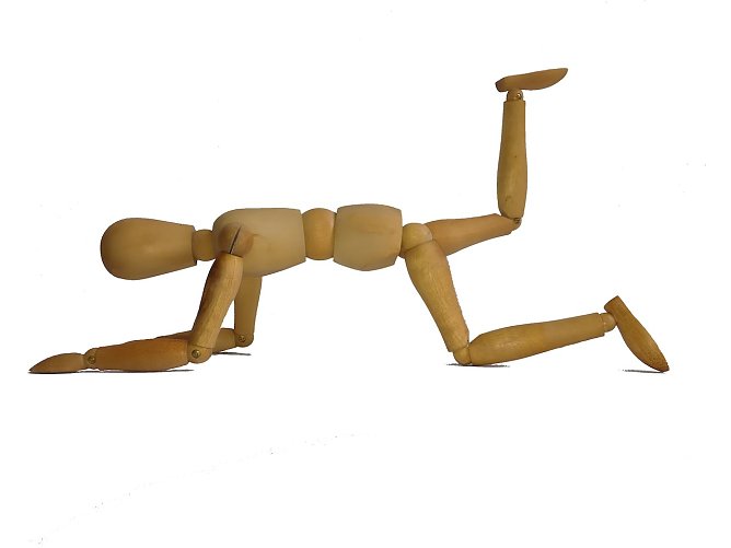 hamstring (Foto: W.H&uuml;tcher)