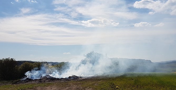 Feuer (Foto: A.Engler)
