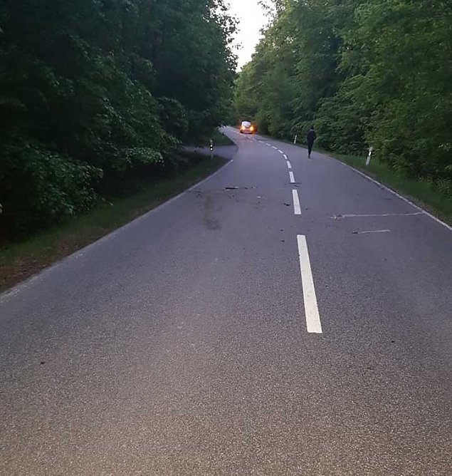 Rehe gegen Pkw (Foto: Silvio Dietzel) Rehe gegen Pkw (Foto: Silvio Dietzel)