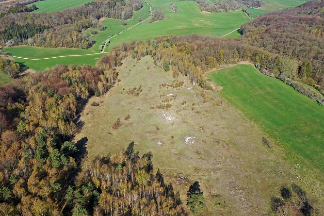 Am 4. Juli geht es zur Hotspot-Wanderung rund um die Pfaffenköpfe (Foto: Detlef Stremke) Am 4. Juli geht es zur Hotspot-Wanderung rund um die Pfaffenköpfe (Foto: Detlef Stremke)