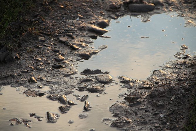 Wetterbild (Foto: agl) Wetterbild (Foto: agl)