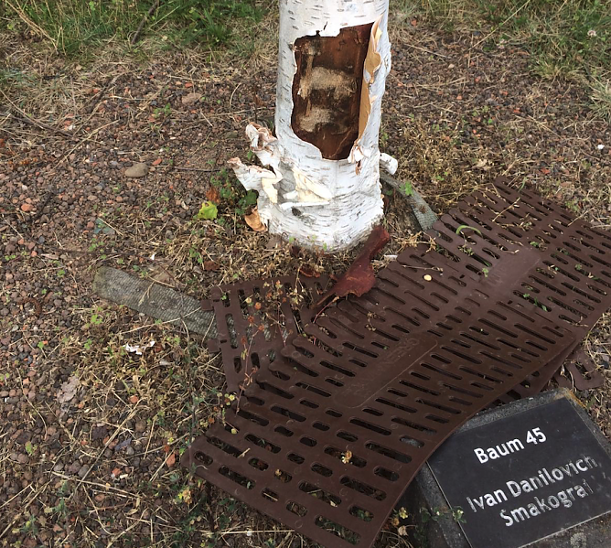 Vandalismus am Ehrenhain (Foto: Gedenkstätte Mittelbau-Dora) Vandalismus am Ehrenhain (Foto: Gedenkstätte Mittelbau-Dora)