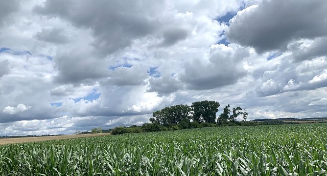 Bei Nordhausen (Foto: oas)