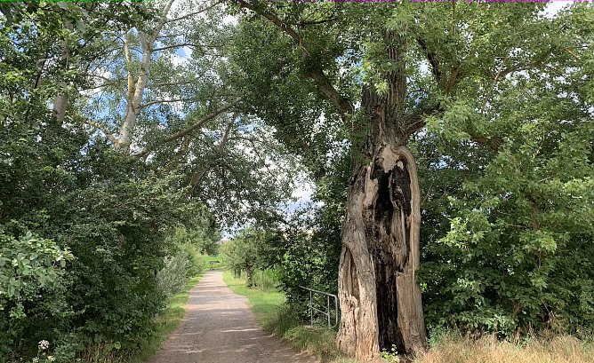 Windlücke (Foto: oas) Windlücke (Foto: oas)