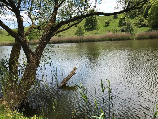 Wetterbild (Foto: agl) Wetterbild (Foto: agl)