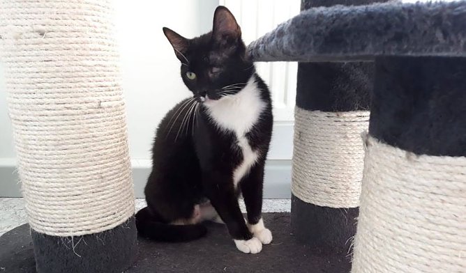 Mama Sandy (Foto: THN)