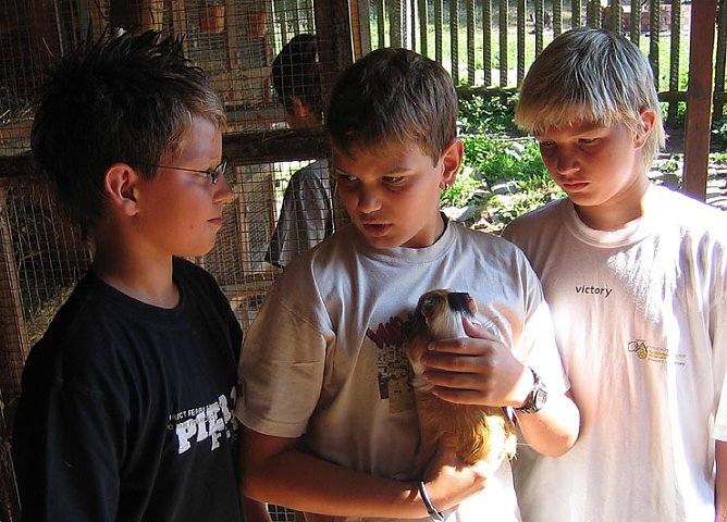 Im Schullandheim Harzrigi (Foto: Horizont)