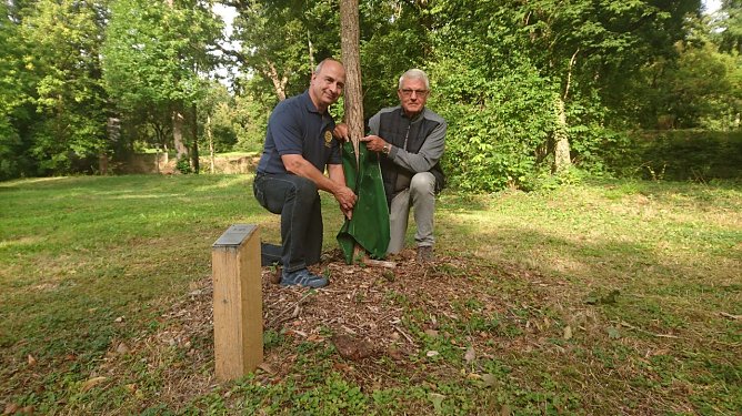 Gunnar Haase vom Rotary Club und Parkg&auml;rtner Klaus J&uuml;rgen Drechsler bringen die ersten Bew&auml;sserungs-S&auml;cke an (Foto: agl)