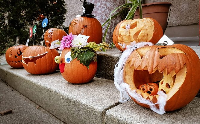 Gruseliges im Domshl&ouml;sschen (Foto: P.Suhr)