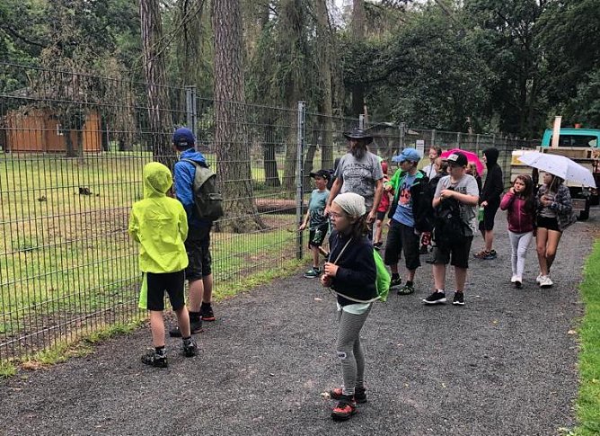 Herbstferiencamp in Harzrigi mit vielen Ausfl&uuml;gen (Foto: Horizont Verein)