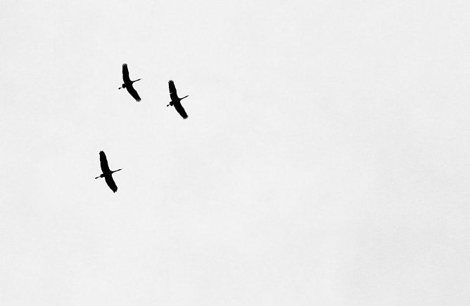 Wetterbild (Foto: agl)