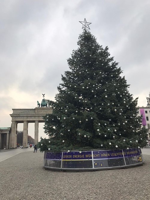 Th&uuml;ringer Colorado-Tanne vor dem Brandenburger Tor (Foto: M. Neubert )