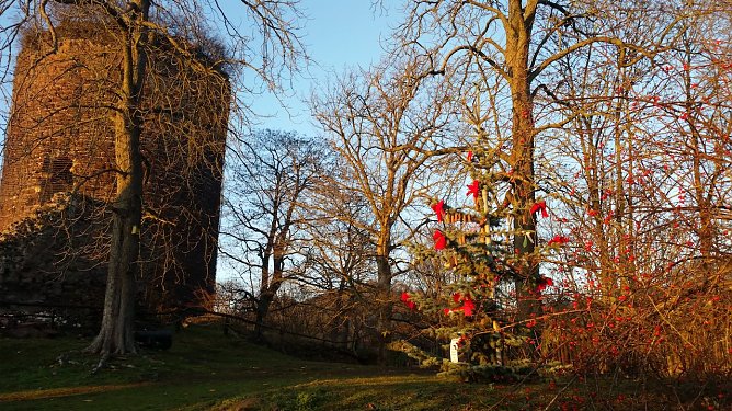 geschm&uuml;ckter Baum auf der Ebersburg (Foto: Wichtelbrigade)