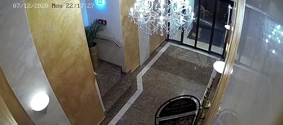 Beobachtet (Foto: privat)