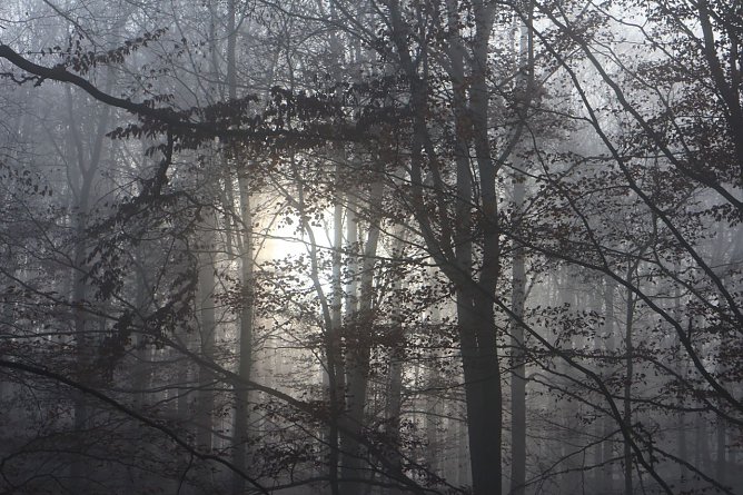 Wetterbild (Foto: agl)