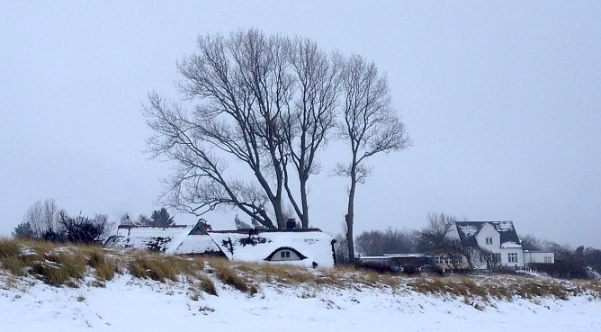 Am Strand von Ahrenshoop (Foto: oas)