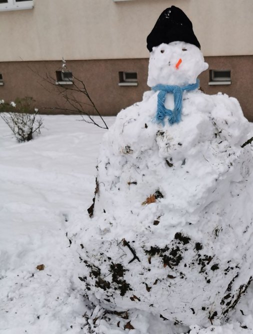 Der Schneemann Peter (Foto: V.Karth&auml;user)
