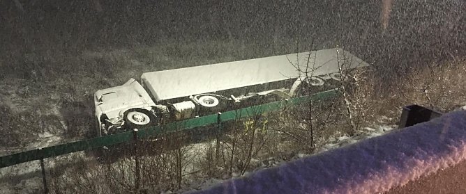 Brummi hatte es "erwischt" (Foto: Feuerwehr Bad Sachsa)