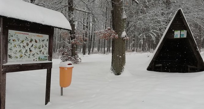 Sophienhof in diesem Winter (Foto: W. J&ouml;rgens)