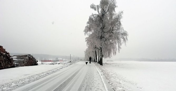 Am Nachmittag bei Sophienhof, dem n&ouml;rdlichsten Ort in Th&uuml;ringen: Starker Nord/Ost-Wind. Zunehmender Schneefall. (Foto: W. J&ouml;rgens)