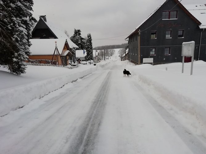 In Sophienhof r&uuml;ckte man dem Schnee gestern mit der Fr&auml;se zu Leibe (Foto: W. J&ouml;rgens)