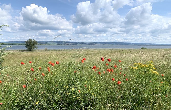 Der Frühling hämmert dieses Wochenende an die Wettertür (Foto: nnz-Archiv) Der Frühling hämmert dieses Wochenende an die Wettertür (Foto: nnz-Archiv)