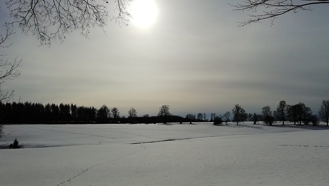 Sophienhof (Foto: W.J&ouml;rgens)