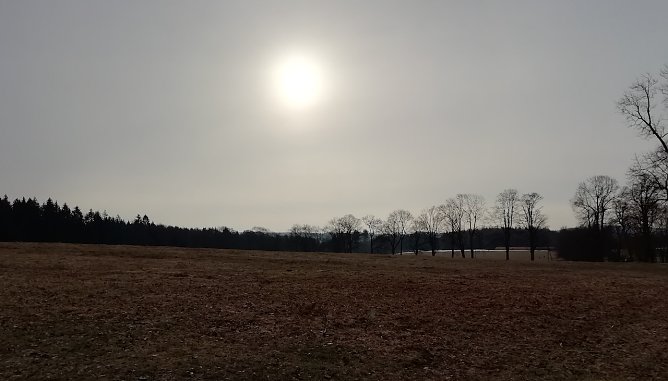 Im Hochharz (Foto: W.J&ouml;rgenss)