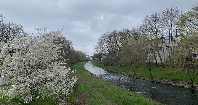 Zorgeufer in Nordhausen (Foto: oas)