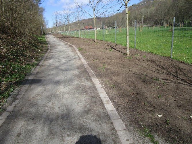 Frisches Grün am Rande Neustadts (Foto: Inge Schoolmann) Frisches Grün am Rande Neustadts (Foto: Inge Schoolmann)