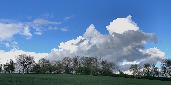 Bei Limlingerode (Foto: oas)