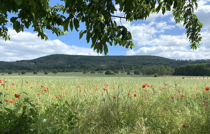 Im Kyffhäuserland (Foto: oas) Im Kyffhäuserland (Foto: oas)