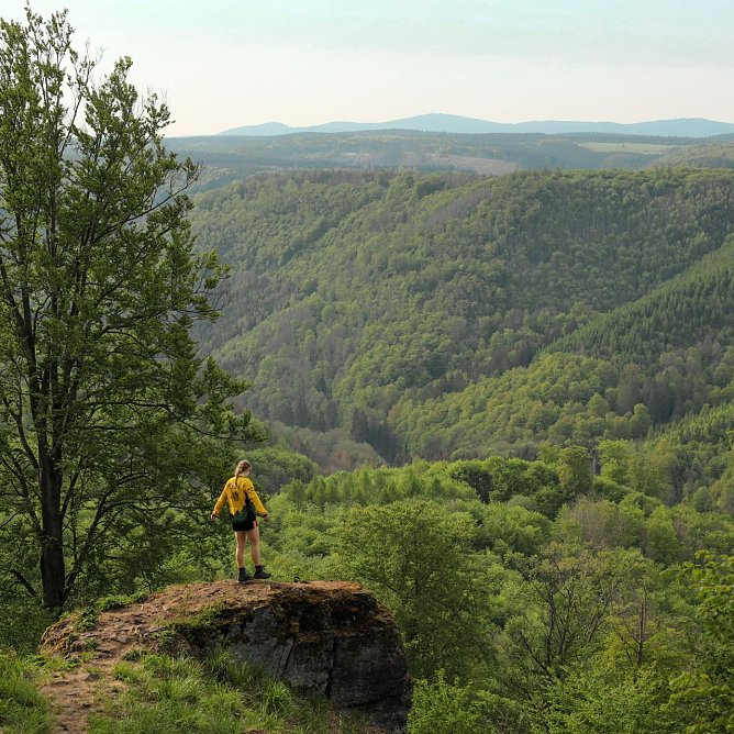 Wanderin am Brockenblick (Foto: Paula Schneller)