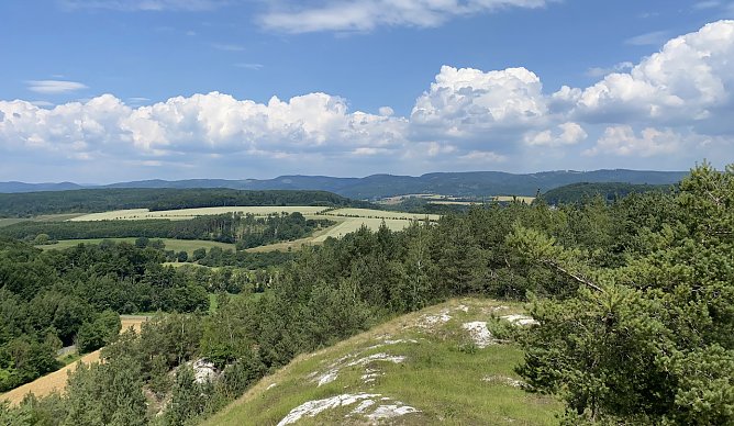 Blick von den H&ouml;rninger Klippen (Foto: oas)