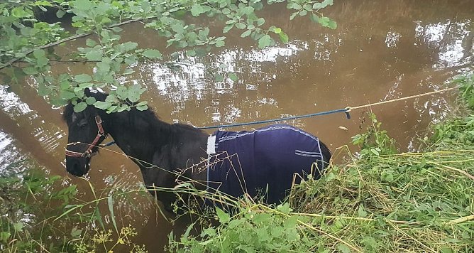 Bei Gro&szlig;wechsungen musste ein Pferd aus der Helme gehoben werden (Foto: Freiwillige Feuerwehr Gro&szlig;wechsungen/SD)