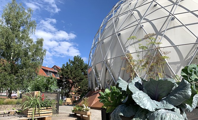 Der Klimapavillon (Foto: Stadtverwaltung Nordhausen) Der Klimapavillon (Foto: Stadtverwaltung Nordhausen)