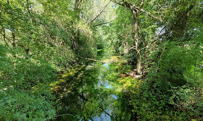 An der Salzaquelle (Foto: P.Blei)