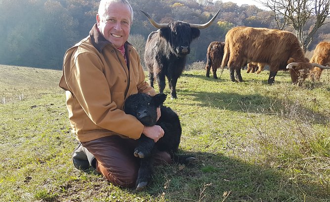 Erst zwei Tage alt war dieses K&auml;lbchen, das Meyk Forst im vergangenen Jahr liebevoll umarmt. Im Hintergrund das dunkle Tier der Rasse Schottisches Hochlandrind ist die Mutter des Kleinen. (Foto: privat/Forst)