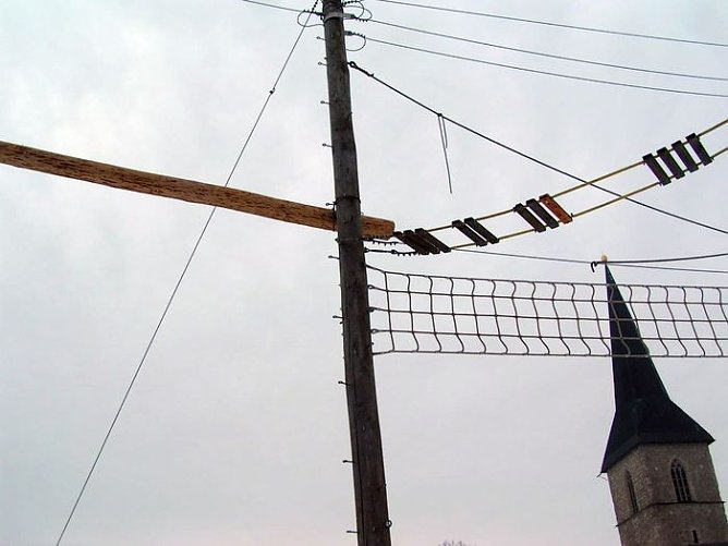 Neu auf dem Berg (Foto: R. Neitzke)