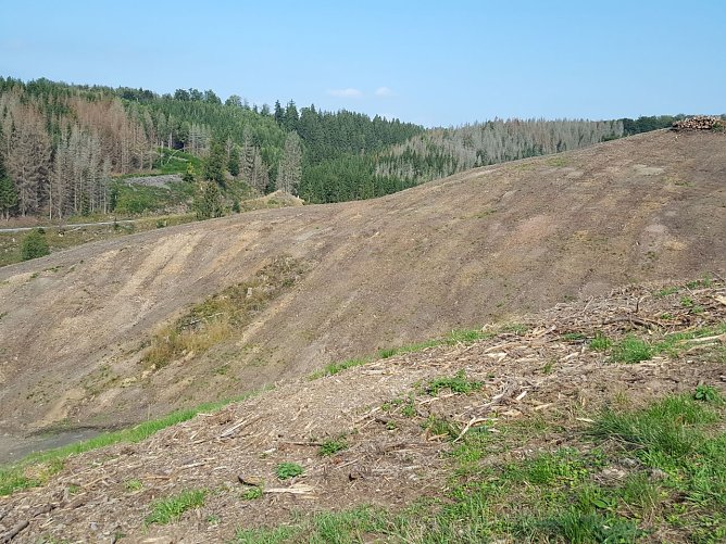 Das Beretal nach dem Fichtensterben (Foto: Naturpark Kyffh&auml;user)