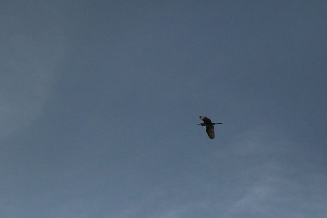 Wetterbild (Foto: agl)