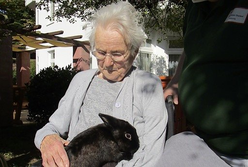 Zwergkaninchen ziehen von Nordhausen nach Sondershausen (Foto: AWO Seniorenresidenz) Zwergkaninchen ziehen von Nordhausen nach Sondershausen (Foto: AWO Seniorenresidenz)