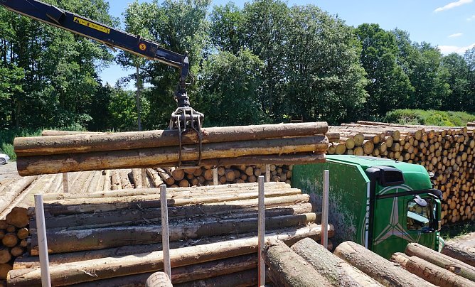 Egal ob auf dem Holzlager oder auf dem Holztransporter: K&uuml;nftig kann jeder Holzstamm per Smartphone ausgelesen" werden (Foto: Dr. Spro&szlig;mann)