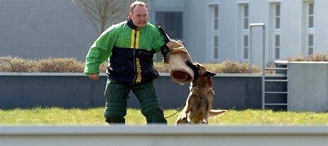 Vier- und Zweibeiner (Foto: Wiethoff)